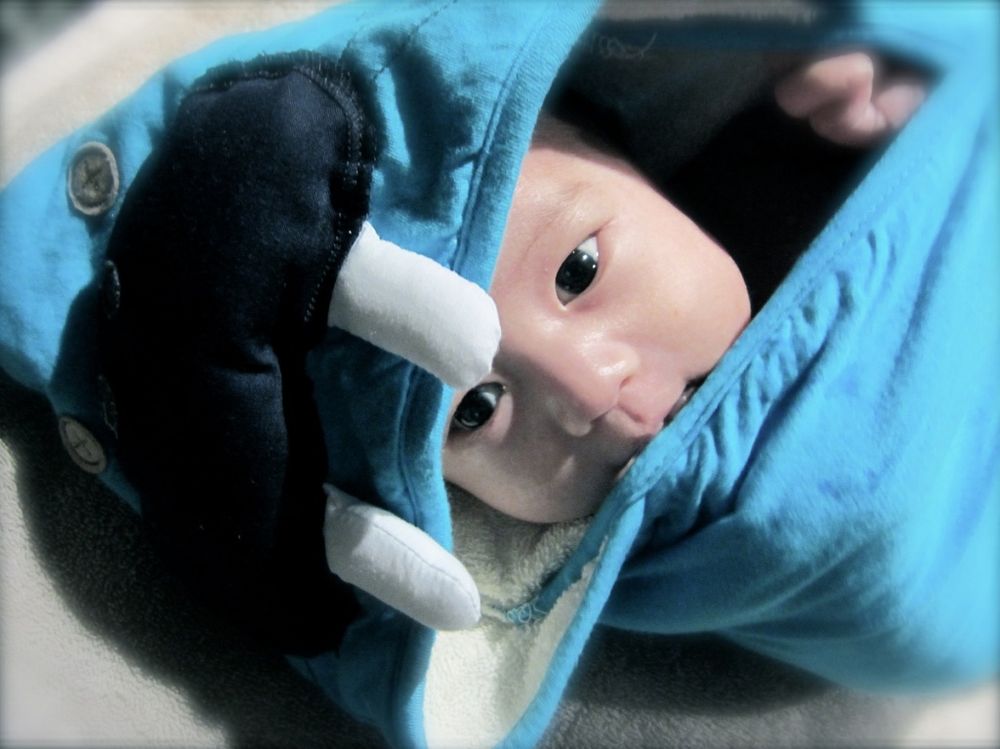 Детское полотенце с капюшоном Морж голубой 3 sprouts